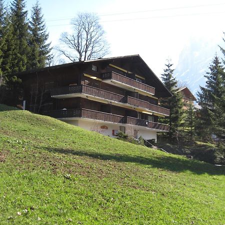 Superior Apartment 100M2 Bodmisonne - Grindelwald Exterior foto