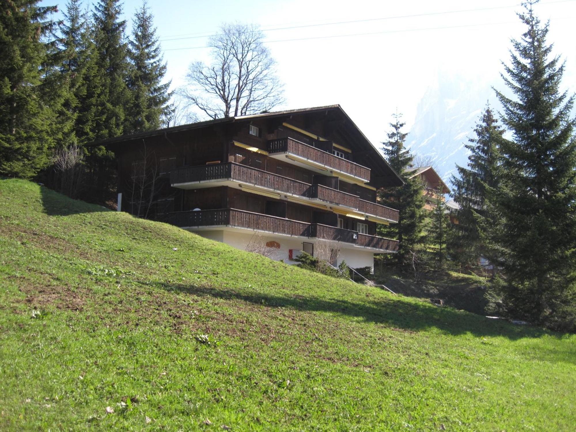 Superior Apartment 100M2 Bodmisonne - Grindelwald Exterior foto